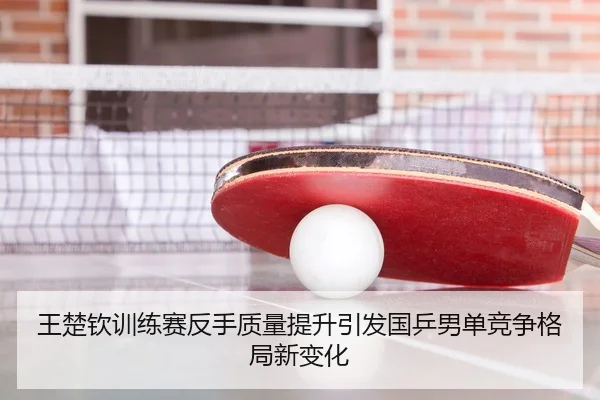 王楚钦训练赛反手质量提升引发国乒男单竞争格局新变化